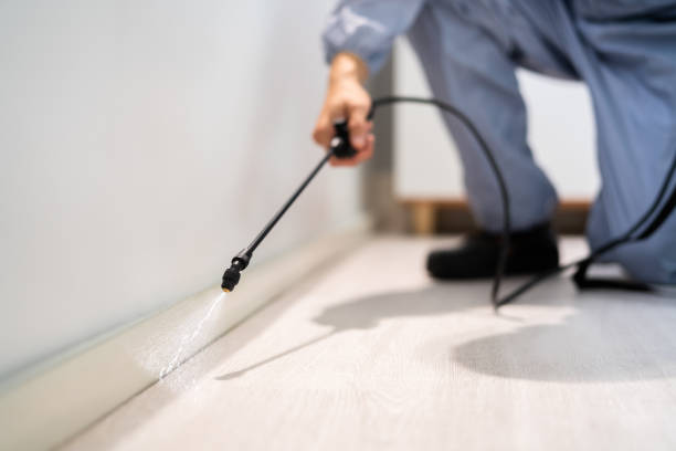 Licensed Termite Control service in Burleson County County, TX - Nex Pest Control