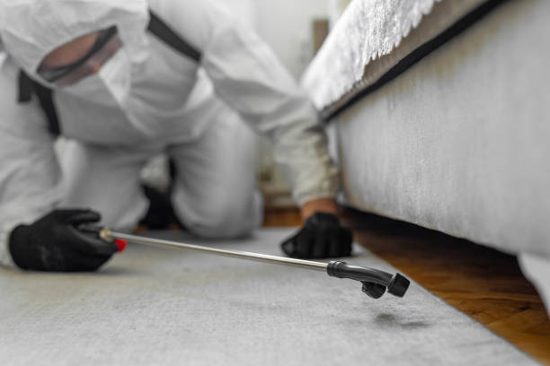Professional Termite Control technician working in Burleson County County, TX
